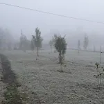 Cabaña Campestre con WIFI, desconexión total a 7 min de Villarrica